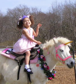 Photo of pony dressed as a unicorn